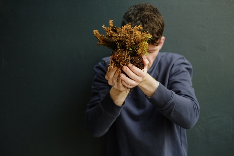 Luke Casserly's Distillation project showing the artist holding peatbog plants covering his face